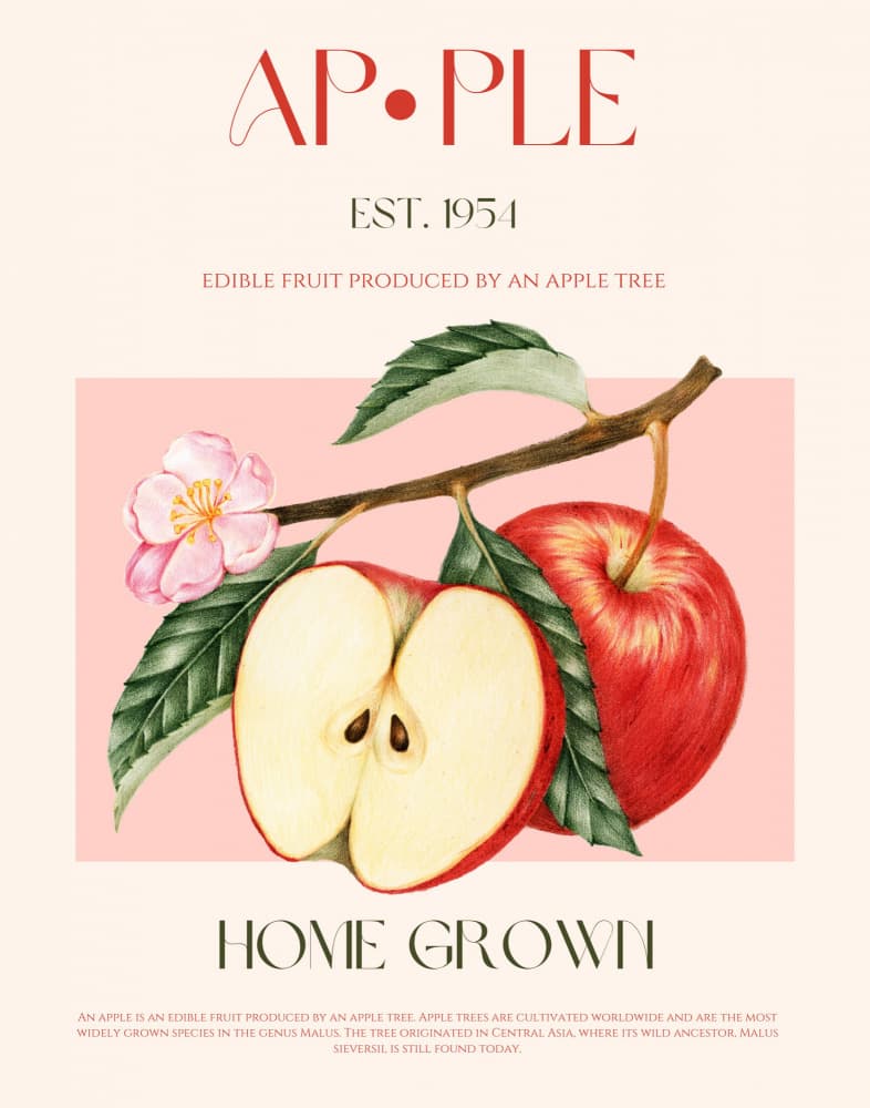 Home Grown Apple Blossom by Nazma Khokhar — canvas wall art