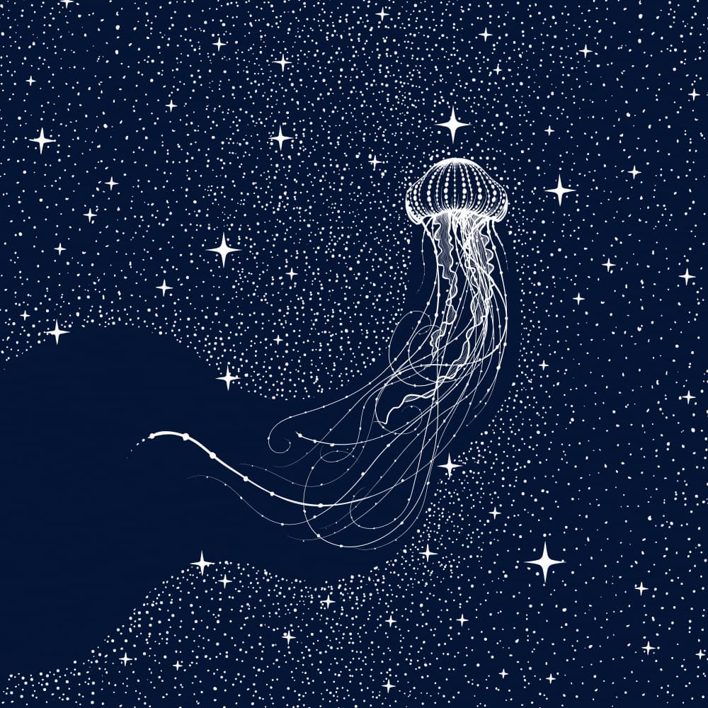 Cosmic Jellyfish Dream by Alirıza ÇAKIR — canvas wall art