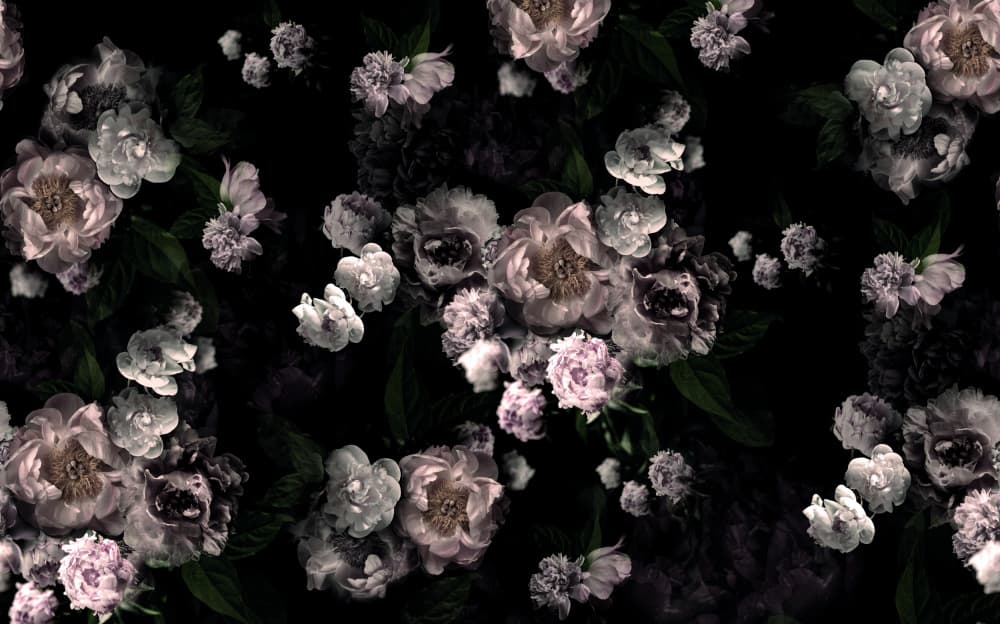 Dark Floral Peonies by Hendon Lane — canvas wall art