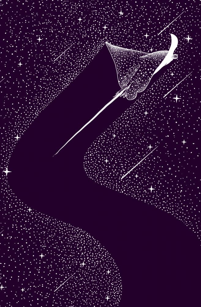 Celestial Eagle Ray by Alirıza ÇAKIR — canvas wall art
