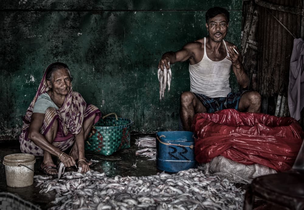 Indian Fish Market by Joxe Inazio Kuesta Garmendia — canvas wall art
