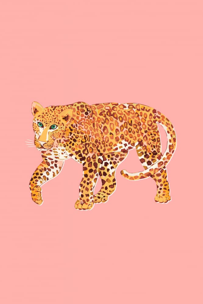 Graceful Pink Leopard by Karen Menzenbach — canvas wall art