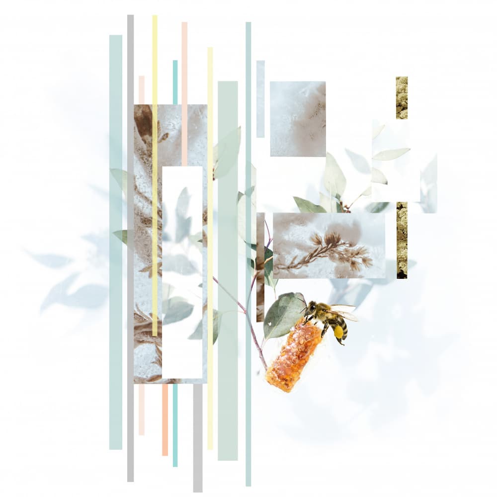 Soft Botanical Bee Abstract by Pelin Atilla — canvas wall art