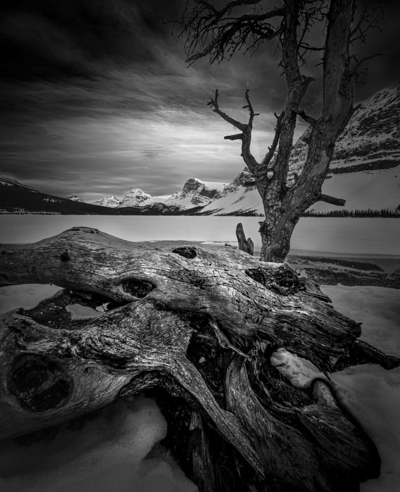 Stark Winter Lake Scene by Bing Li — canvas wall art