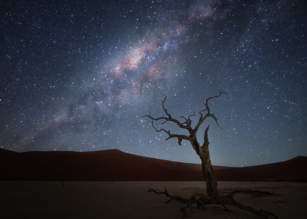 Ancient Tree Under Stars by Yun Gong — canvas wall art