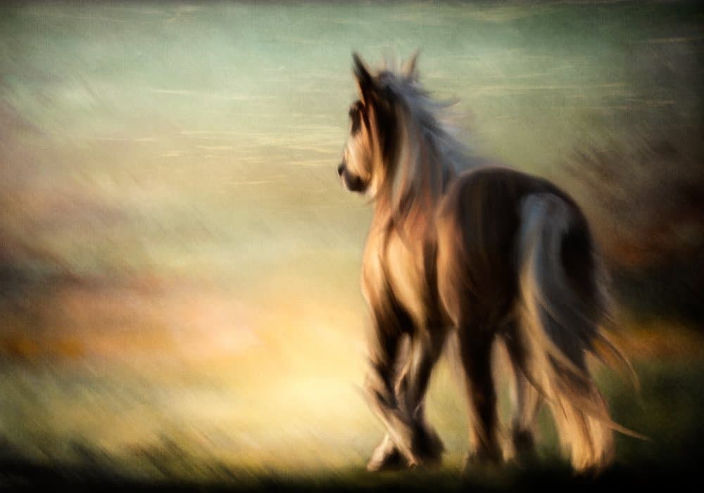 Majestic Horse Glow by Charlaine Gerber — canvas wall art