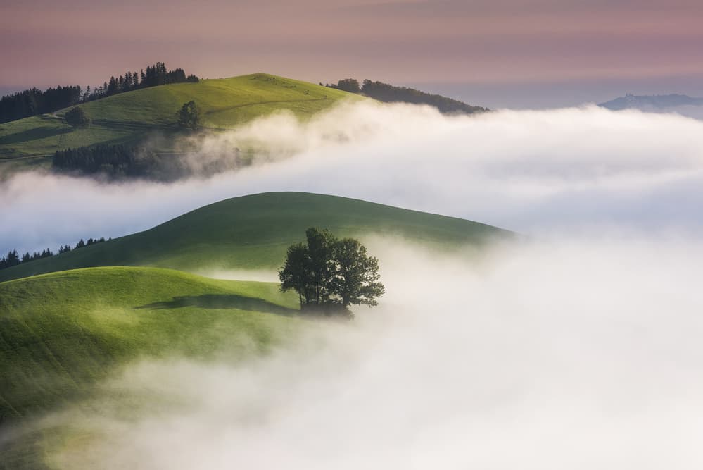 Serene Hills Morning Fog by Burger Jochen — canvas wall art
