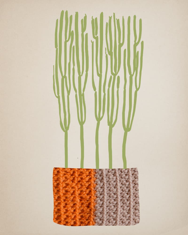 Knitted Planter Cacti by Diana Jahns — canvas wall art