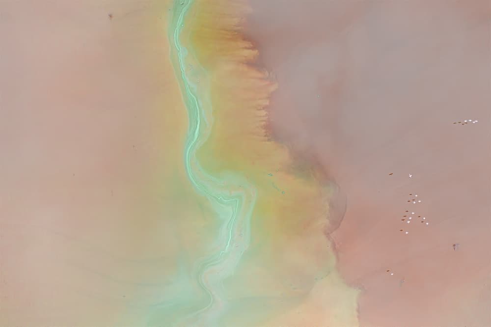 Flamingos Pink Desert by Roberto Marchegiani — canvas wall art