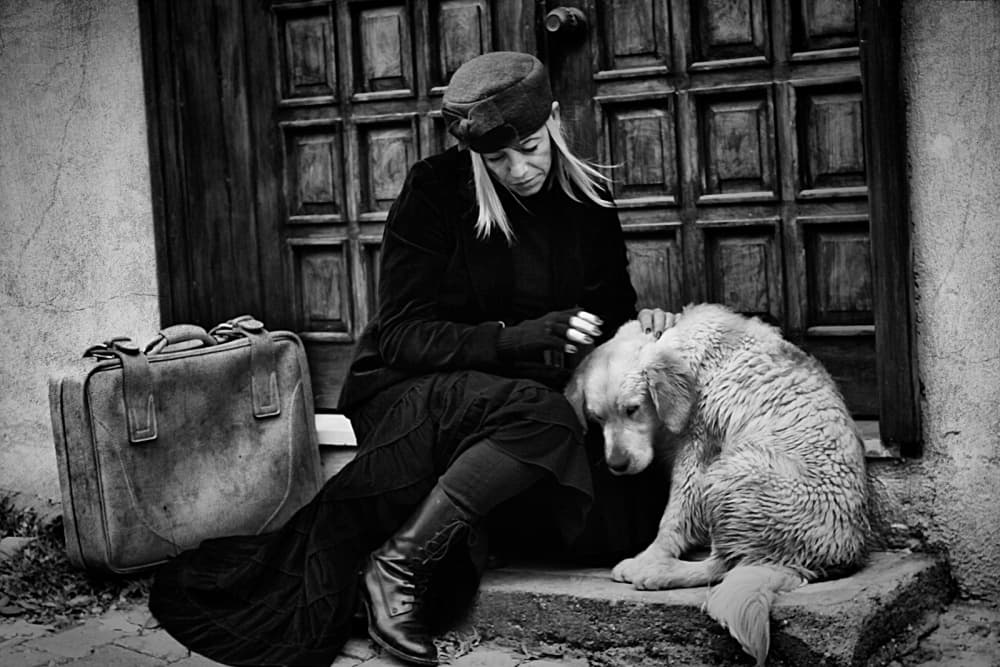 Traveler And Her Dog by Emine Basa — canvas wall art