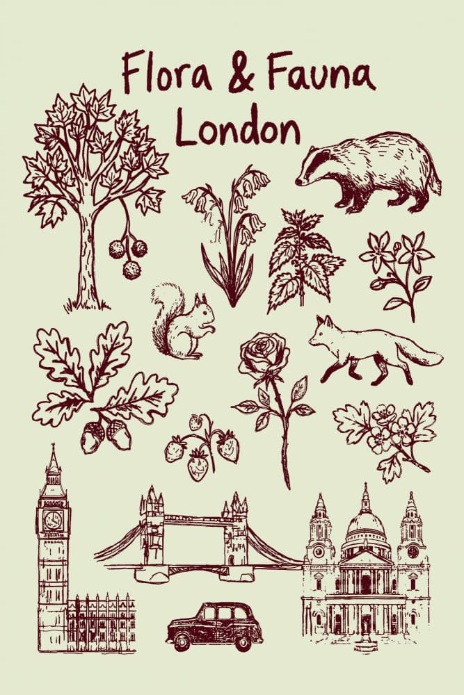 London Flora and Fauna by casa cartissi — canvas wall art