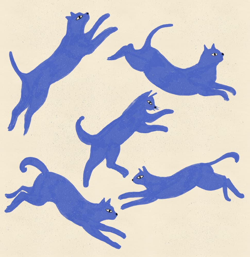 Playful Blue Cats by Nicholas — canvas wall art