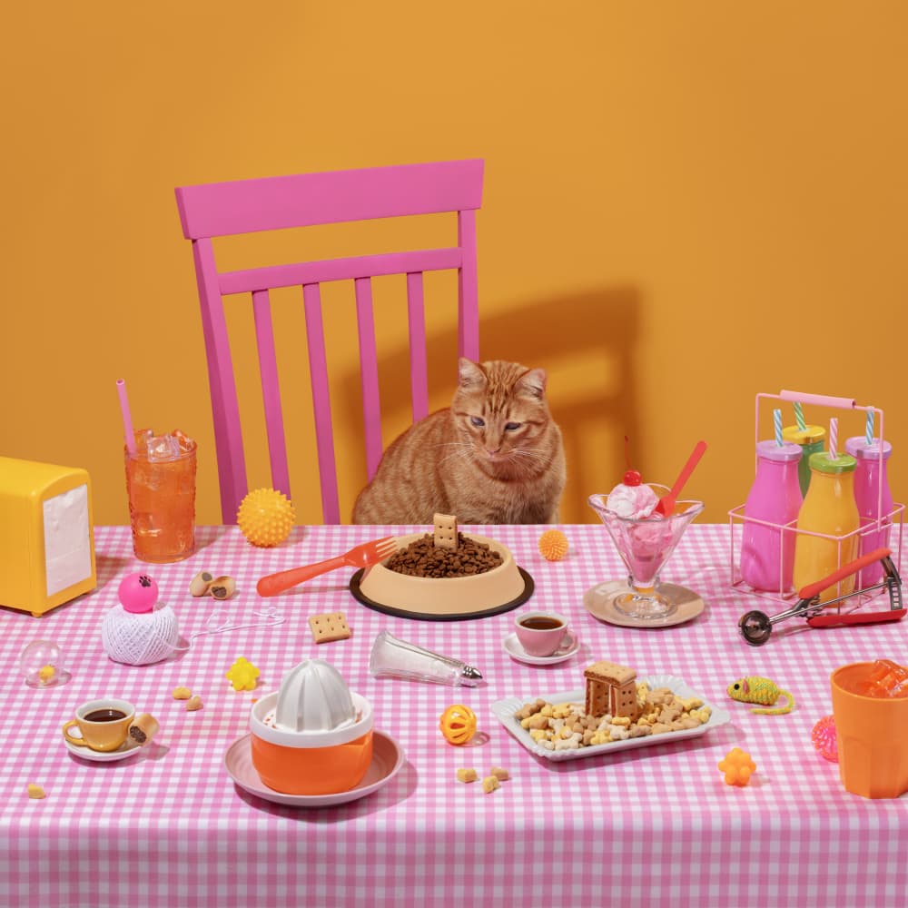 Cat's Whimsical Dinner by Julia Ramiro — canvas wall art