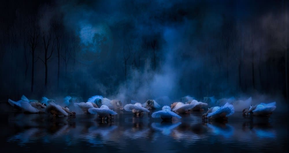 Dancers On Dark Water by Charlaine Gerber — canvas wall art