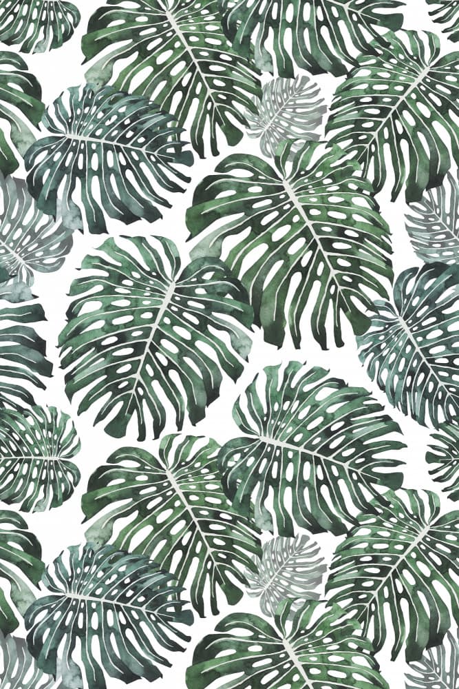 Tropical Monstera Leaves by Karen Menzenbach — canvas wall art