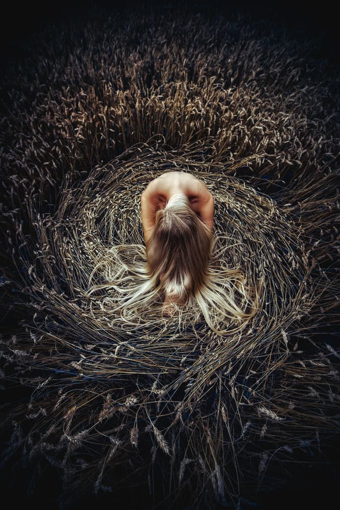 Woman In Golden Wheat by Ruslan Bolgov — canvas wall art