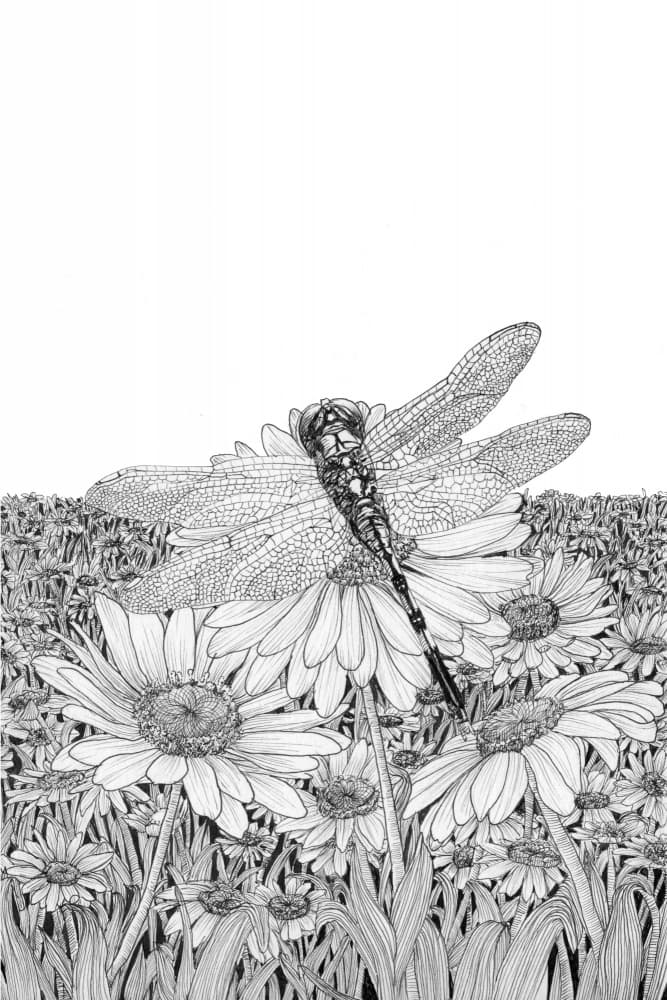 Dragonfly Daisy Field by EC Mazur — canvas wall art