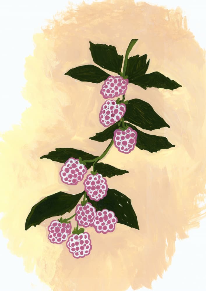 Vibrant Berry Branch by Rosana Laiz Blursbyai — canvas wall art