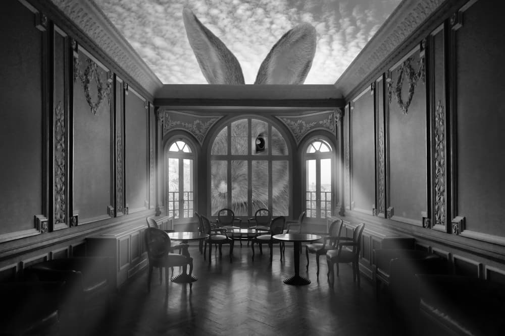 Giant Rabbit Room by Christian MARCEL — canvas wall art