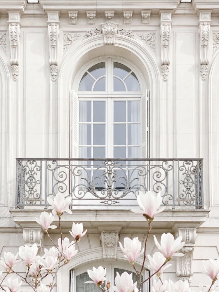 White Facade Magnolias by Andreas Magnusson — canvas wall art