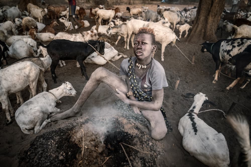 Tribal Child and Goats by Trevor Cole — canvas wall art