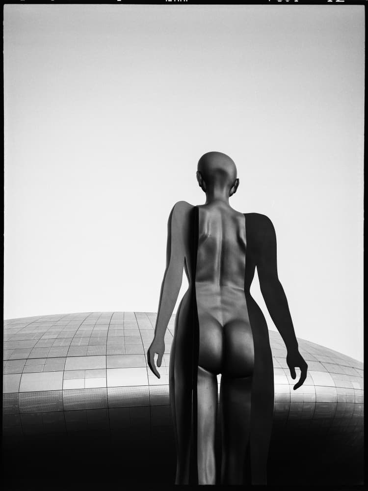 Deconstructed Female Form by Parole Kim — canvas wall art