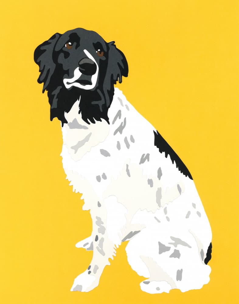 Black White Dog Portrait by Rankin Willard — canvas wall art