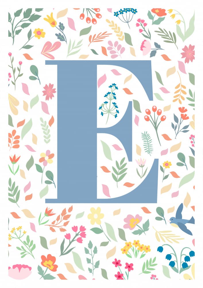 Floral Letter E by Sarah Manovski — canvas wall art