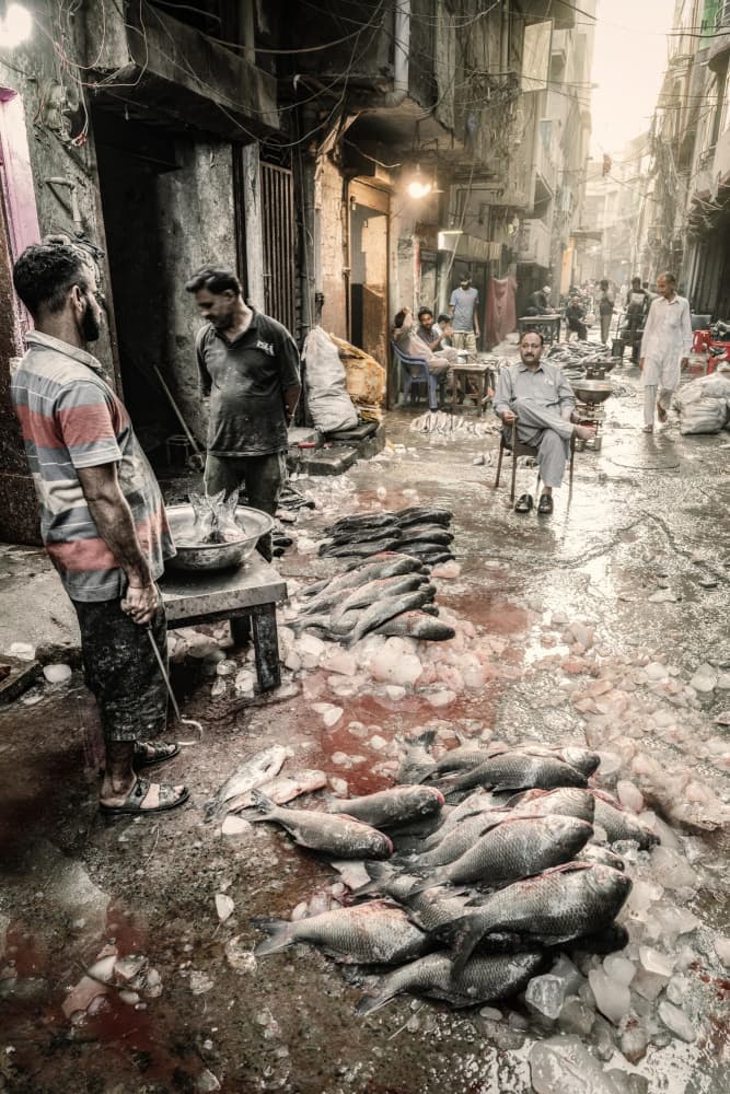 Gritty Fish Market Street by Trevor Cole — canvas wall art