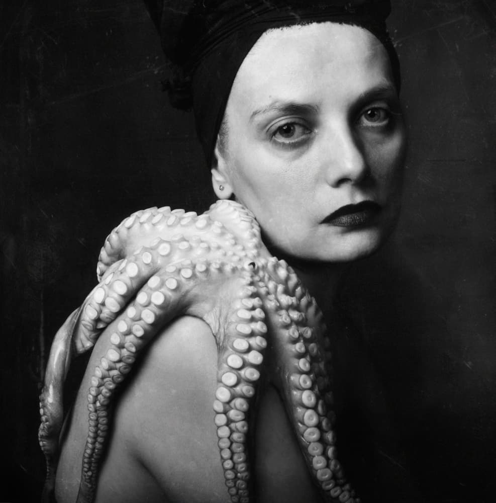 Mysterious Octopus Portrait by Alexandra Fira — canvas wall art