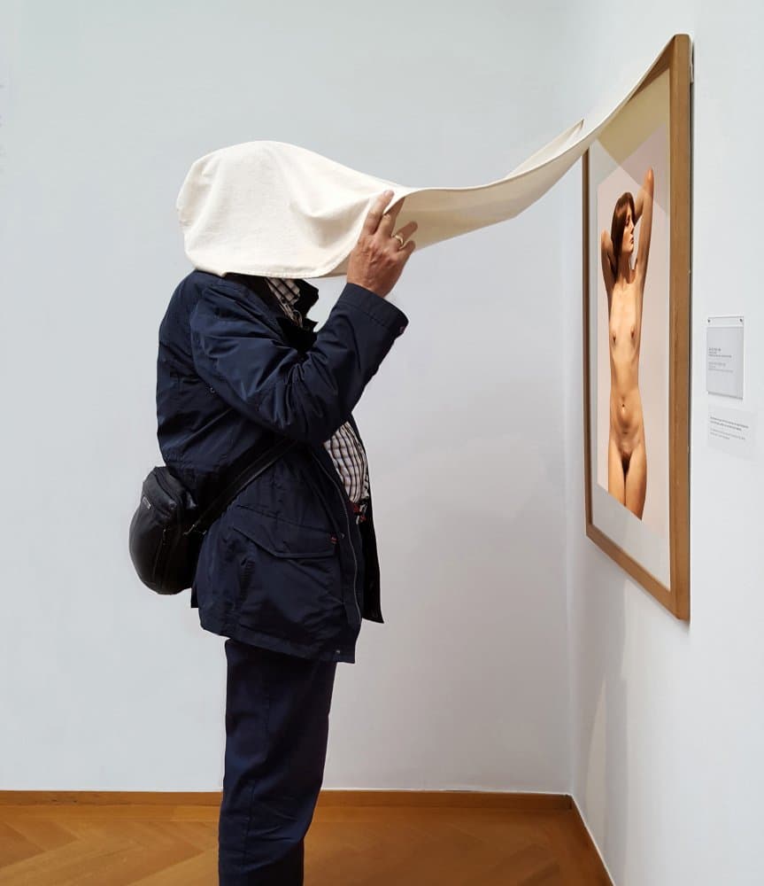 Curious Observer Nude Art by Huib Limberg — canvas wall art
