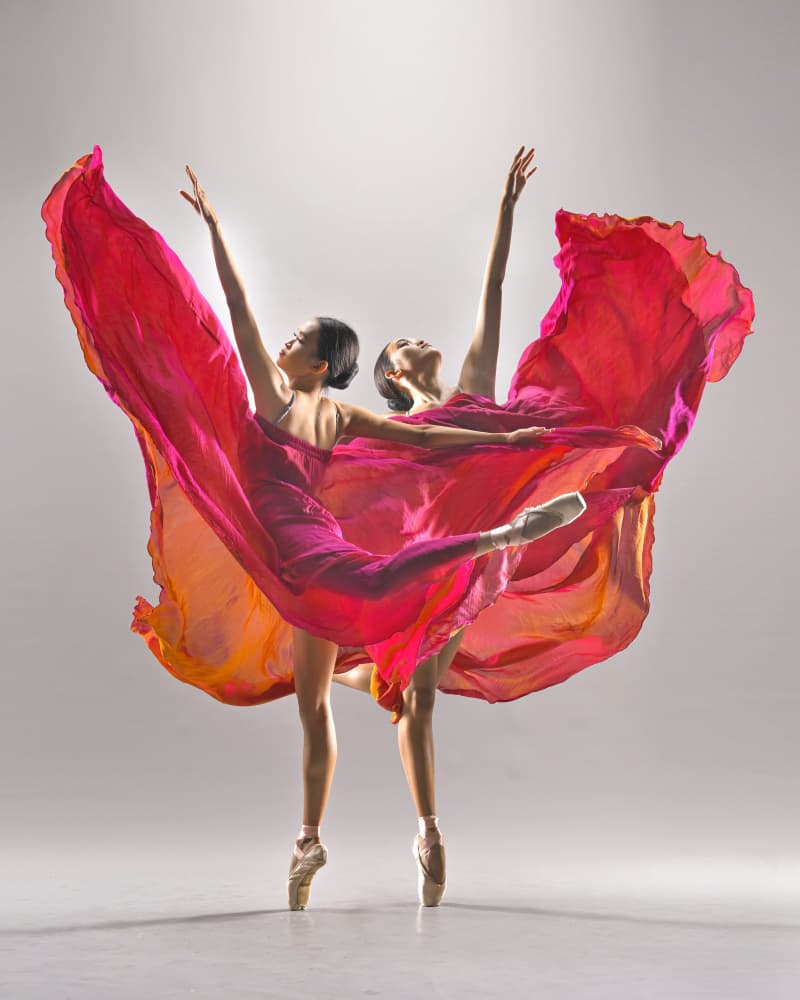 Flowing Ballet Dancers by Ajar Setiadi — canvas wall art