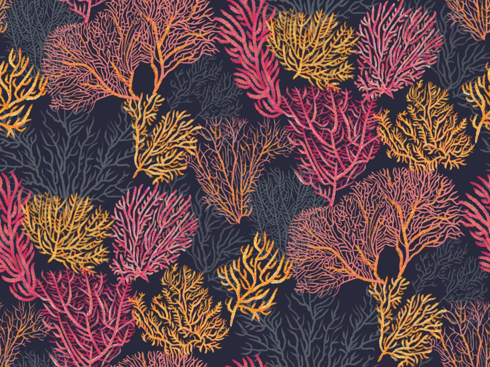 Colorful Coral Pattern by Alexandra Weise — canvas wall art
