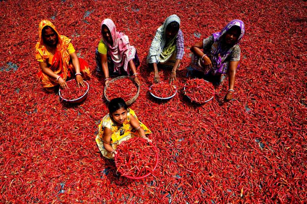 Vibrant Chili Workers by Avishek Das — canvas wall art
