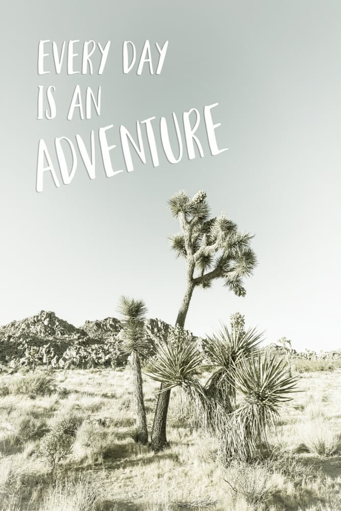 Joshua Tree Adventure Quote by Melanie Viola — canvas wall art