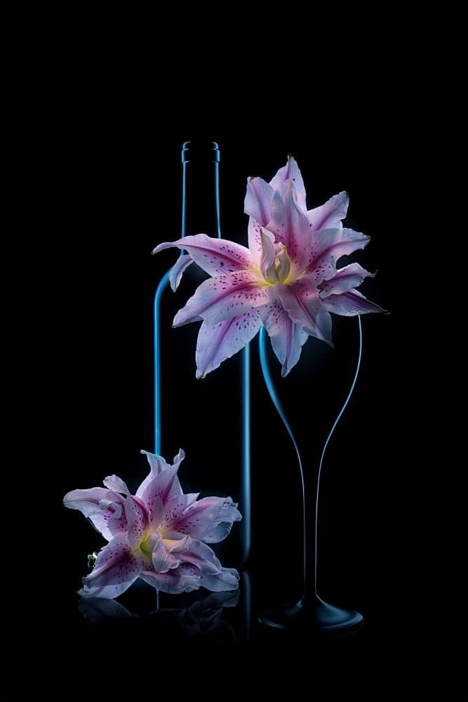 Luminous Lilies And Wine by Lydia Jacobs — canvas wall art