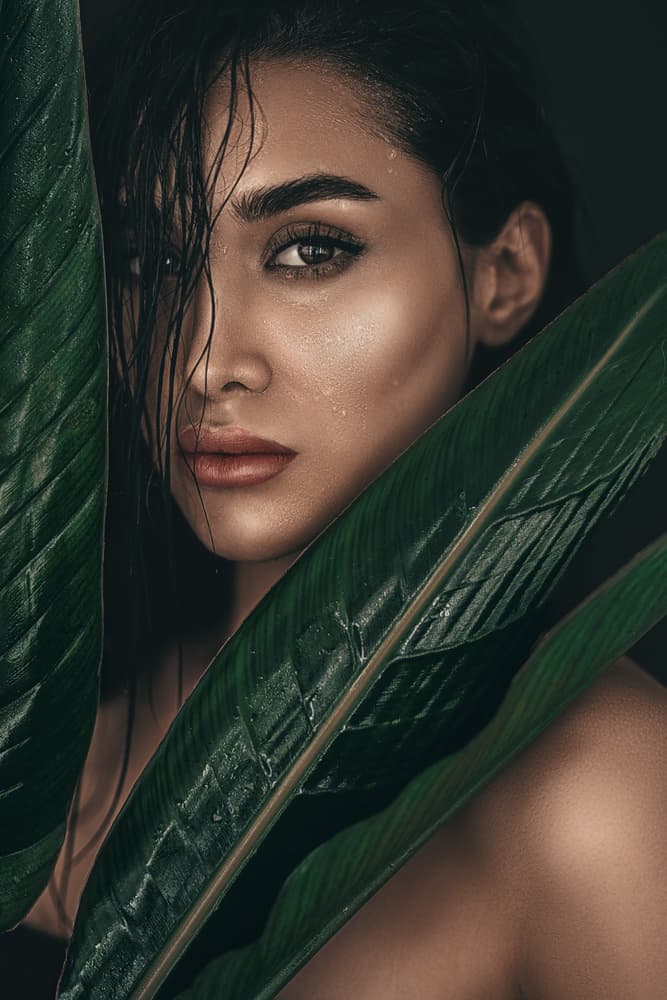 Tropical Leaves Portrait by amir behzadi — canvas wall art