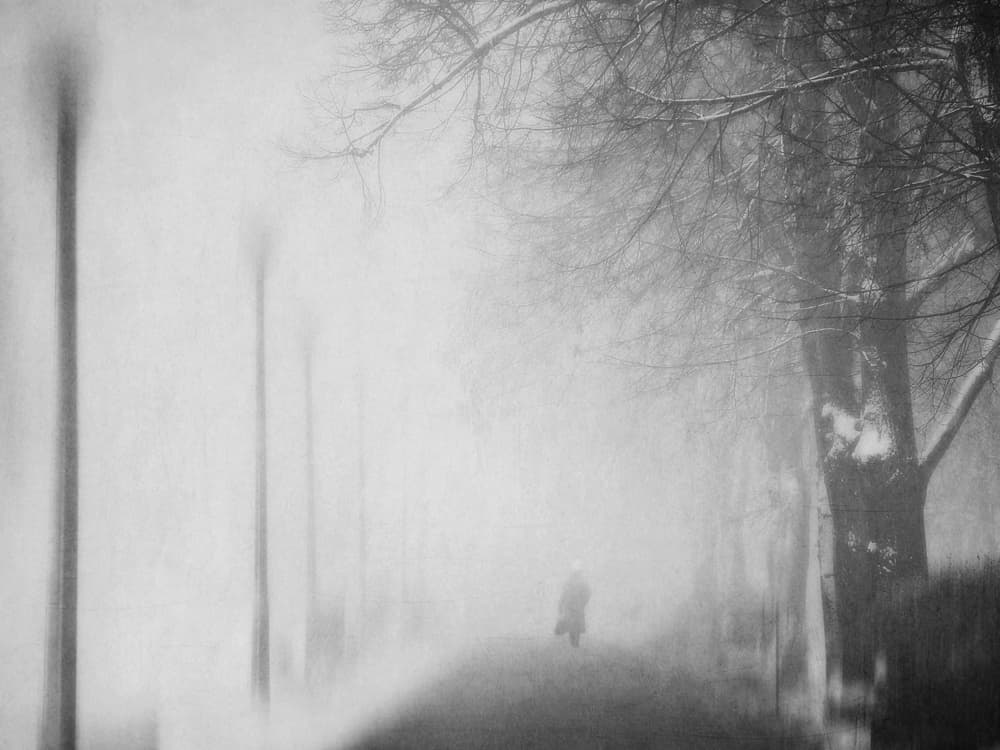 Solitary Winter Walk by Nicoleta Gabor — canvas wall art
