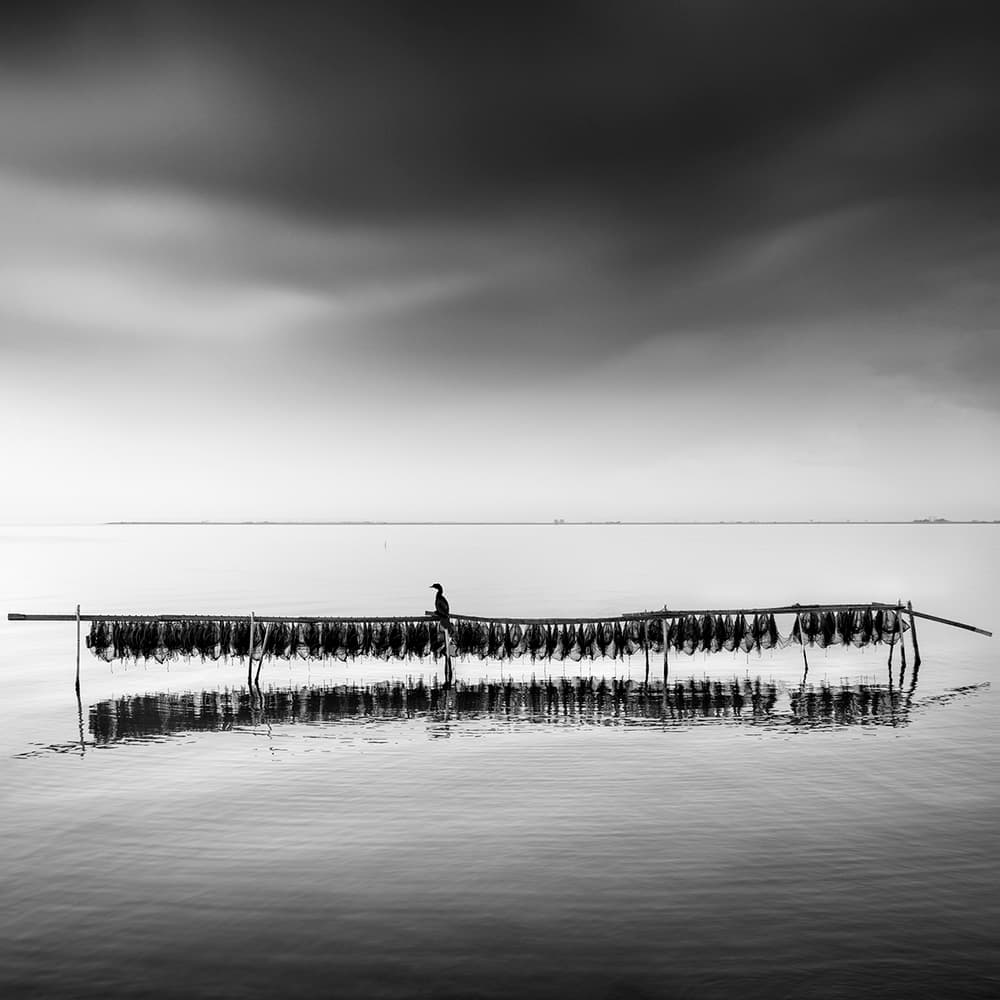 Bird On Drying Rack by George Digalakis — canvas wall art