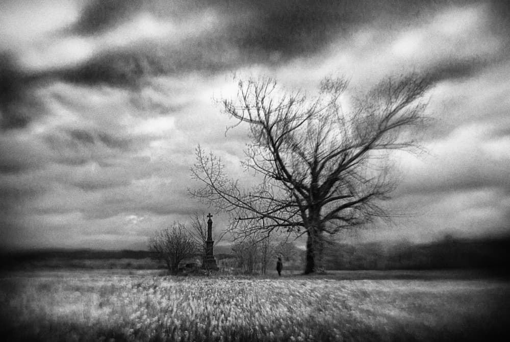 Moody Winter Landscape by Codrin Lupei — canvas wall art