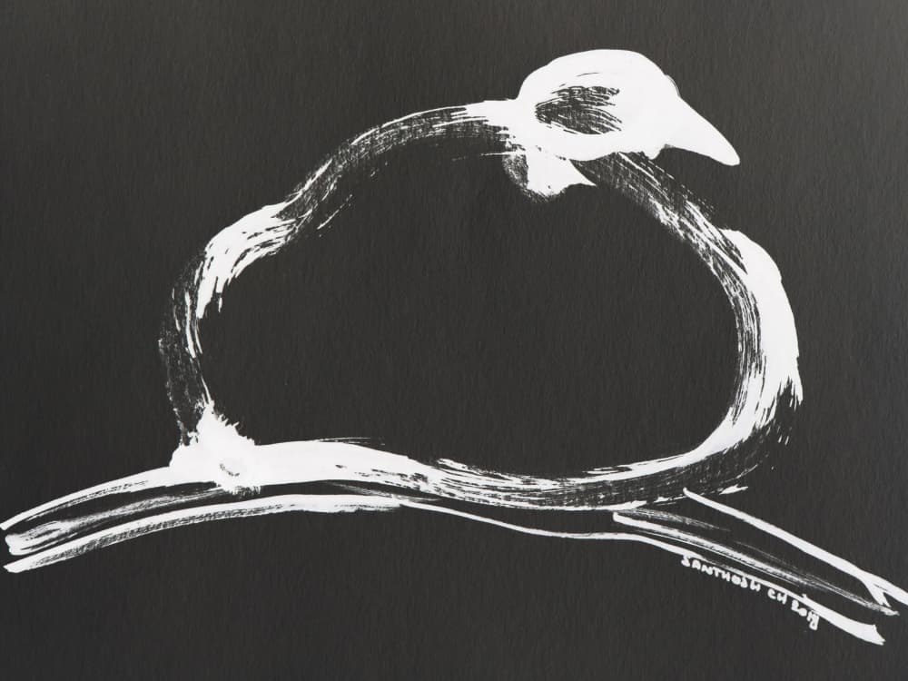 Resting White Bird by Santhosh ch — canvas wall art