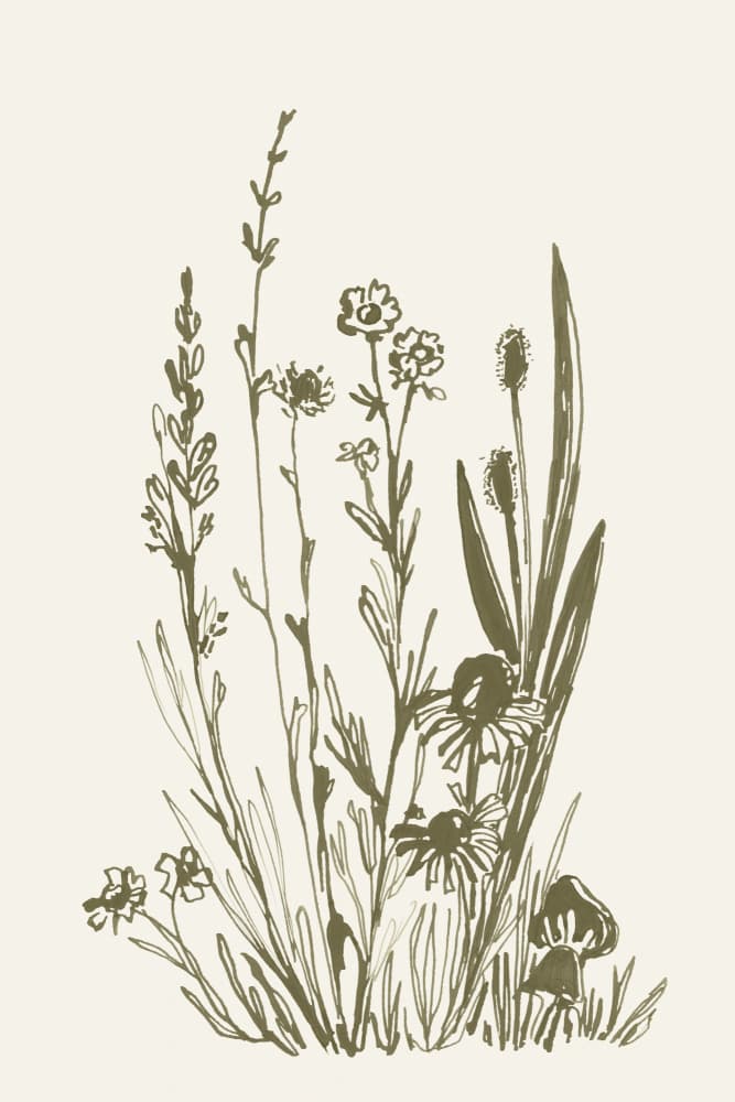 Wild Meadow Botanicals by Rosana Laiz Blursbyai — canvas wall art
