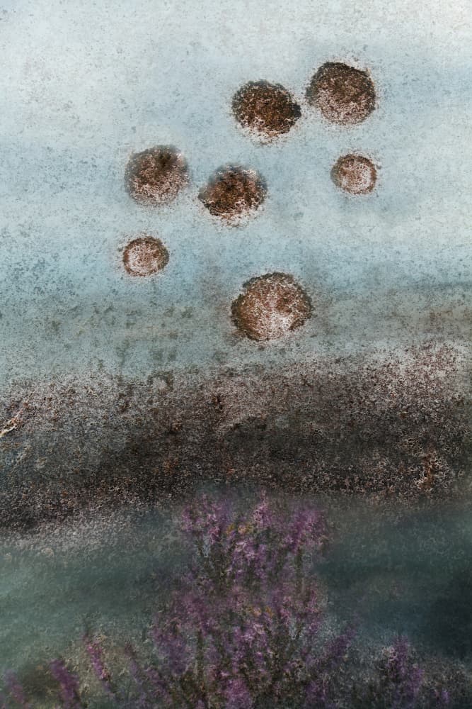 Purple Blooms and Abstract Sky by Christina Sillen — canvas wall art