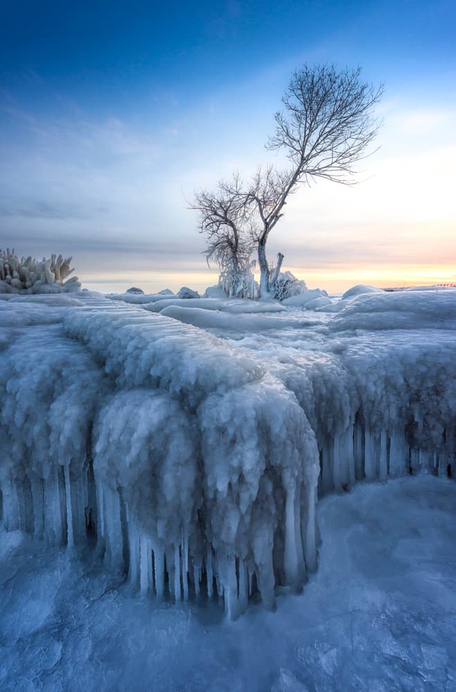 Icy Winter Trees by Larry Deng APA — canvas wall art
