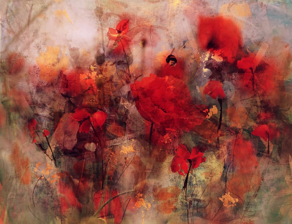 Vibrant Red Poppies by Ellen van Deelen — canvas wall art