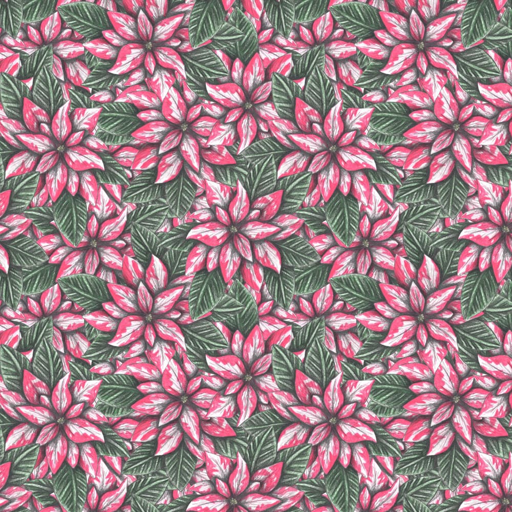 Festive Poinsettia Pattern by Cecilia Battaini — canvas wall art