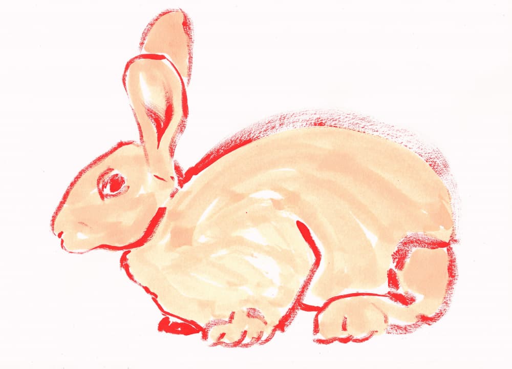 Sweet Orange Bunny by Santhosh ch — canvas wall art