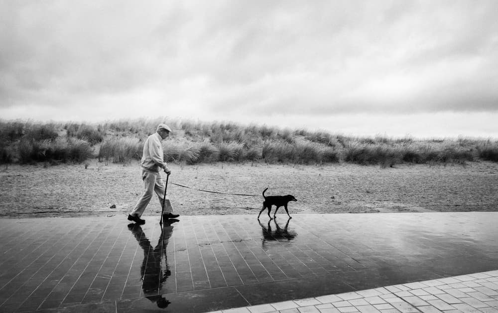 Man Dog Coastal Walk by Jef Flour — canvas wall art