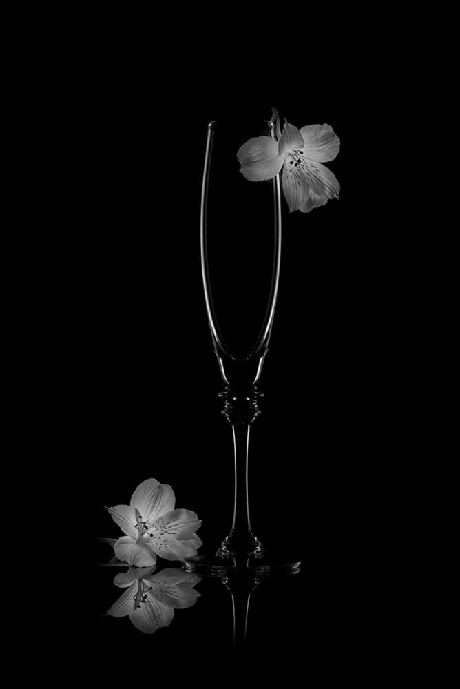 Delicate Bloom Reflection by Lydia Jacobs — canvas wall art