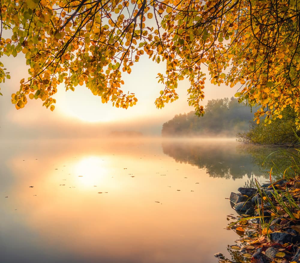 Golden Autumn Mist by Christian Lindsten — canvas wall art